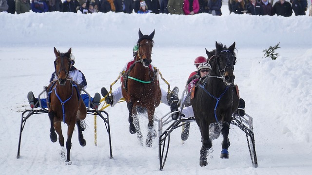 增添更多話 增添更多話