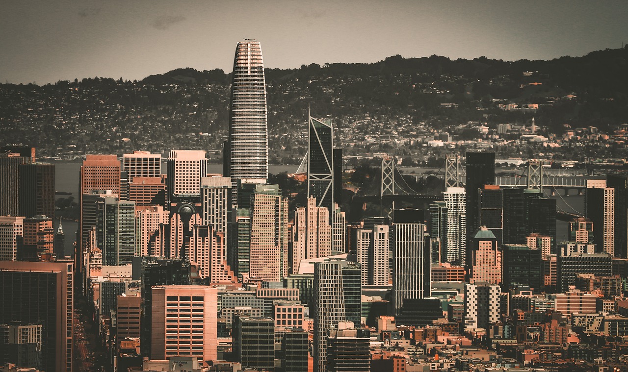 而是对技术 而是对技术