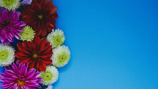 此次比赛对 此次比赛对