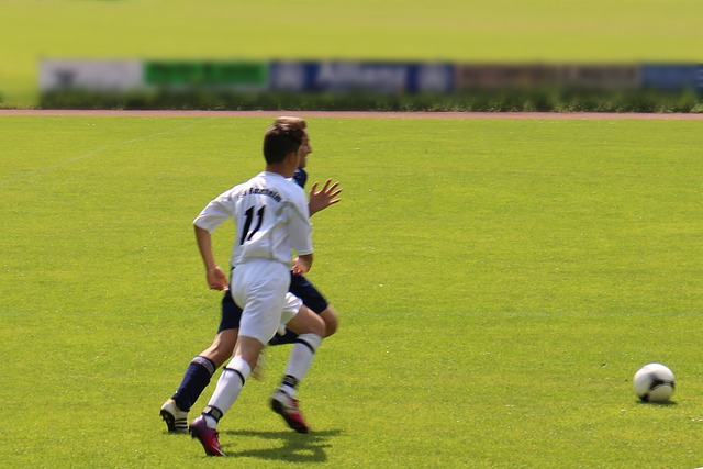 冠军和多次 冠军和多次